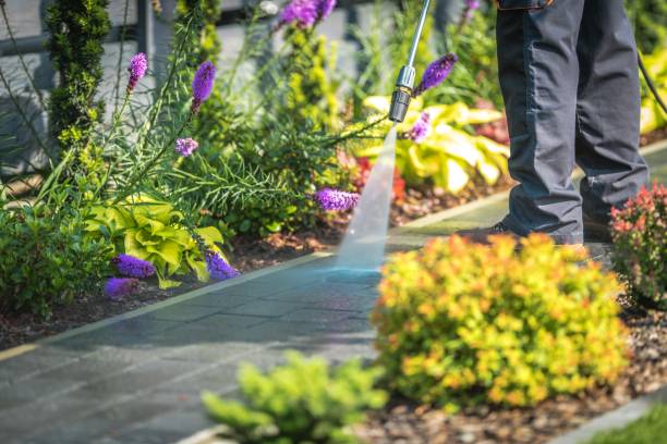 Reliable Wellston, OH Pressure Washing Services Solutions