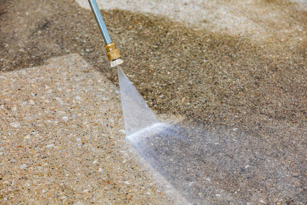 Best Animal Enclosure Cleaning  in Wellston, OH