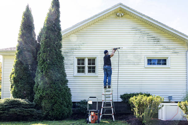 Best Rust Removal  in Wellston, OH